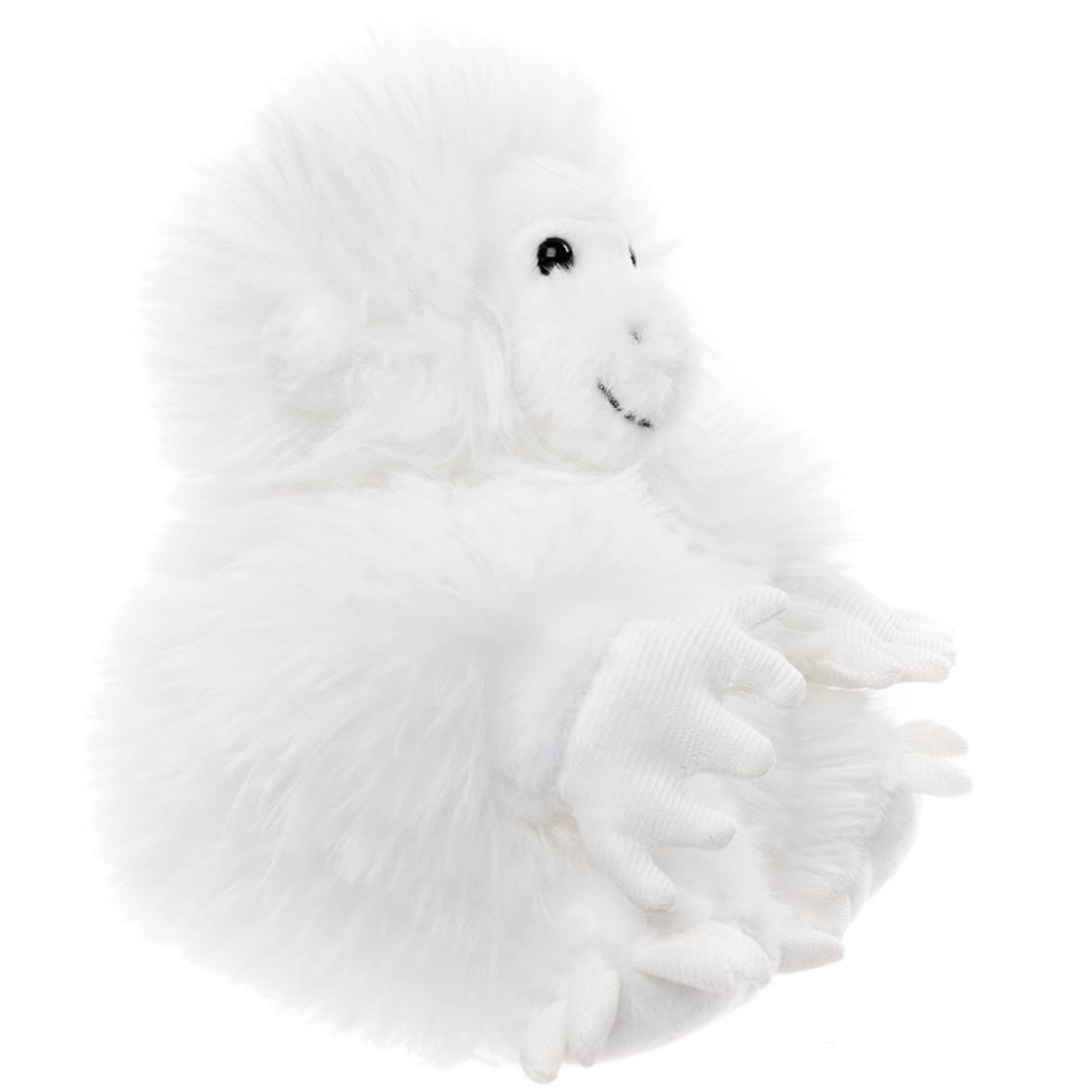 Yeti