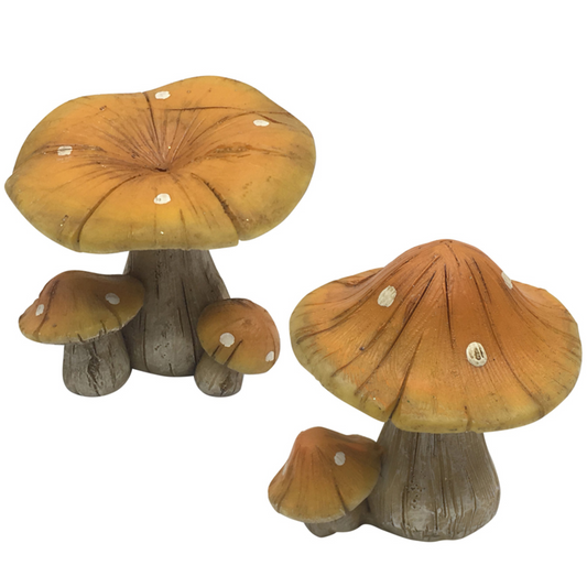 Mushrooms Natural