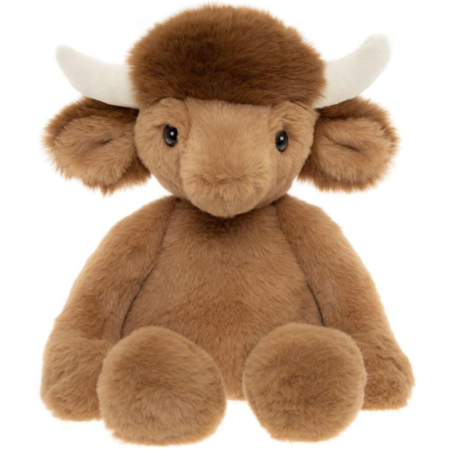 Henry Highland Cow