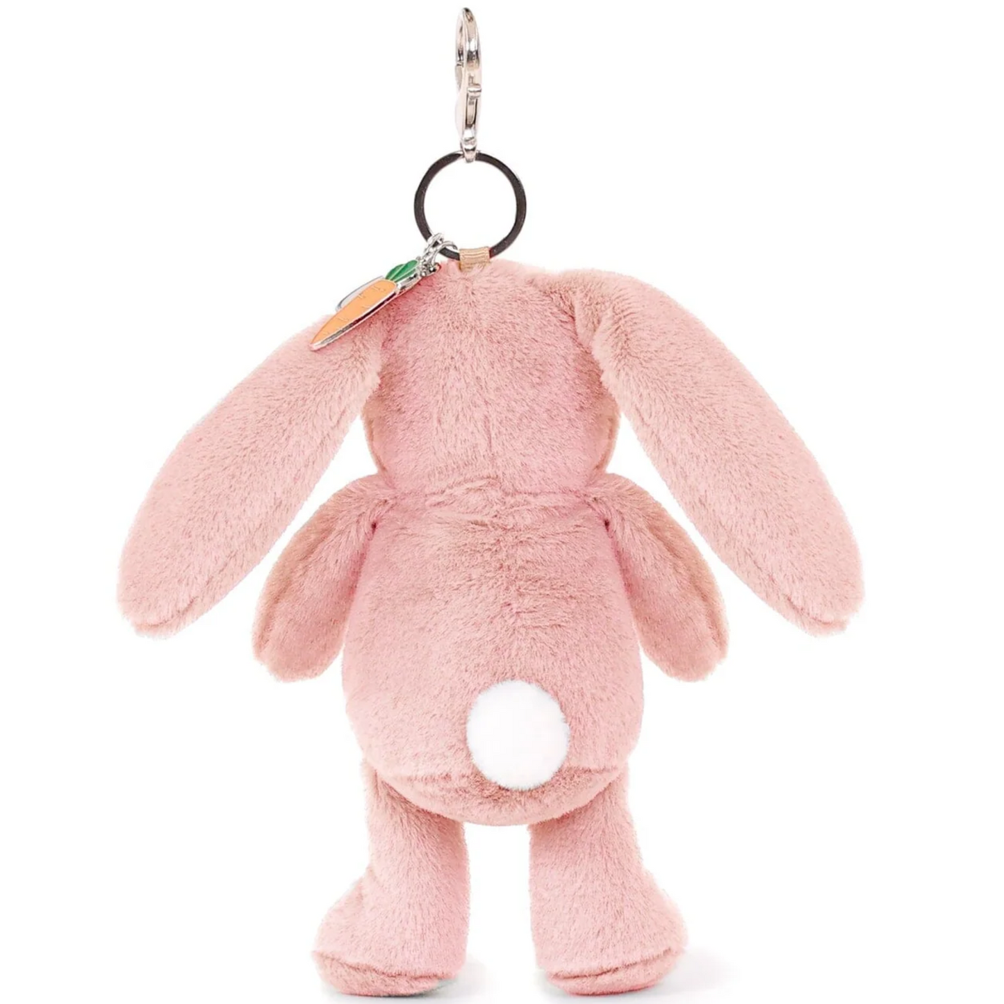 Bella Bunny