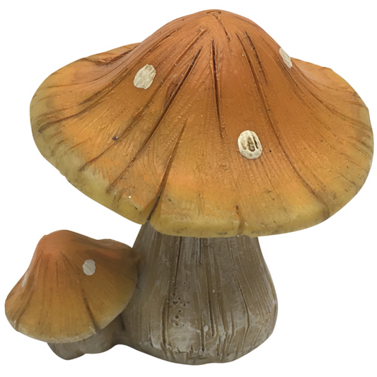 Mushrooms Natural