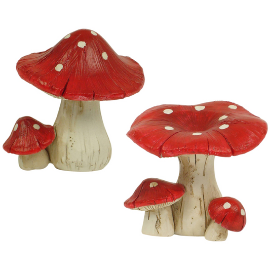 Mushrooms Red