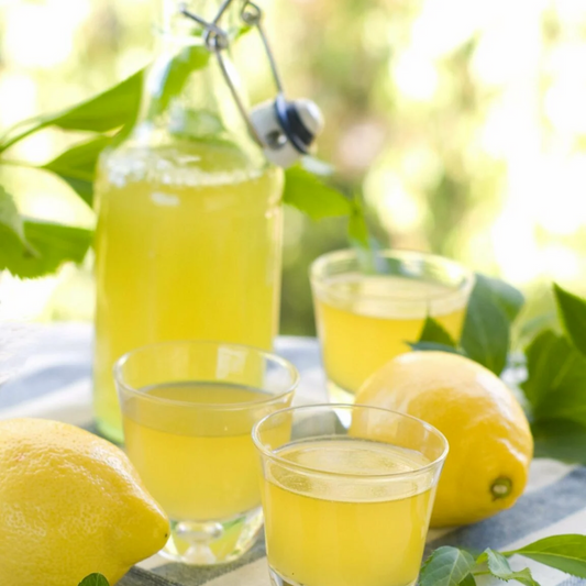 Limoncello | Creamery Fragrance Melts