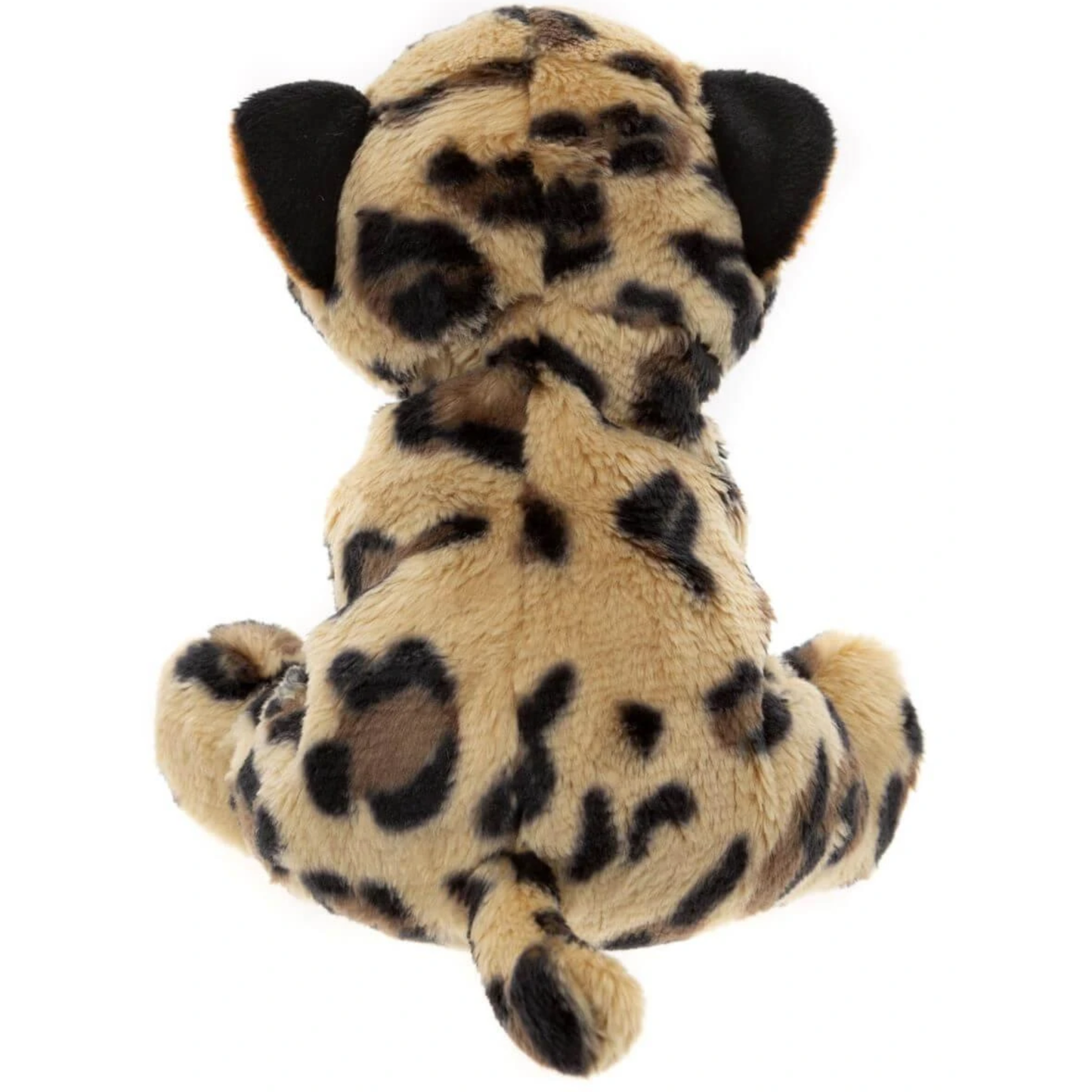 Sabre Tooth Tiger