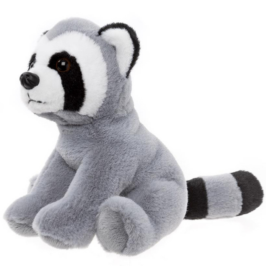 Raccoon