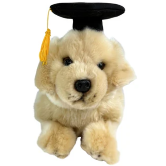 Graduation Maple Golden Retriever Puppy