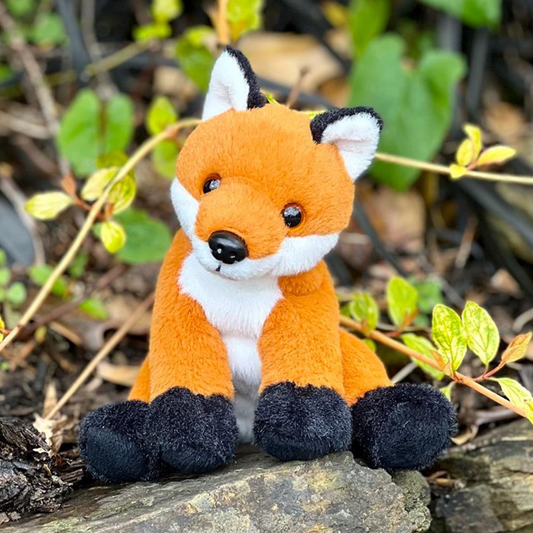 Fox