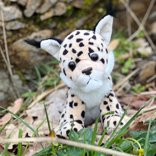 Lynx