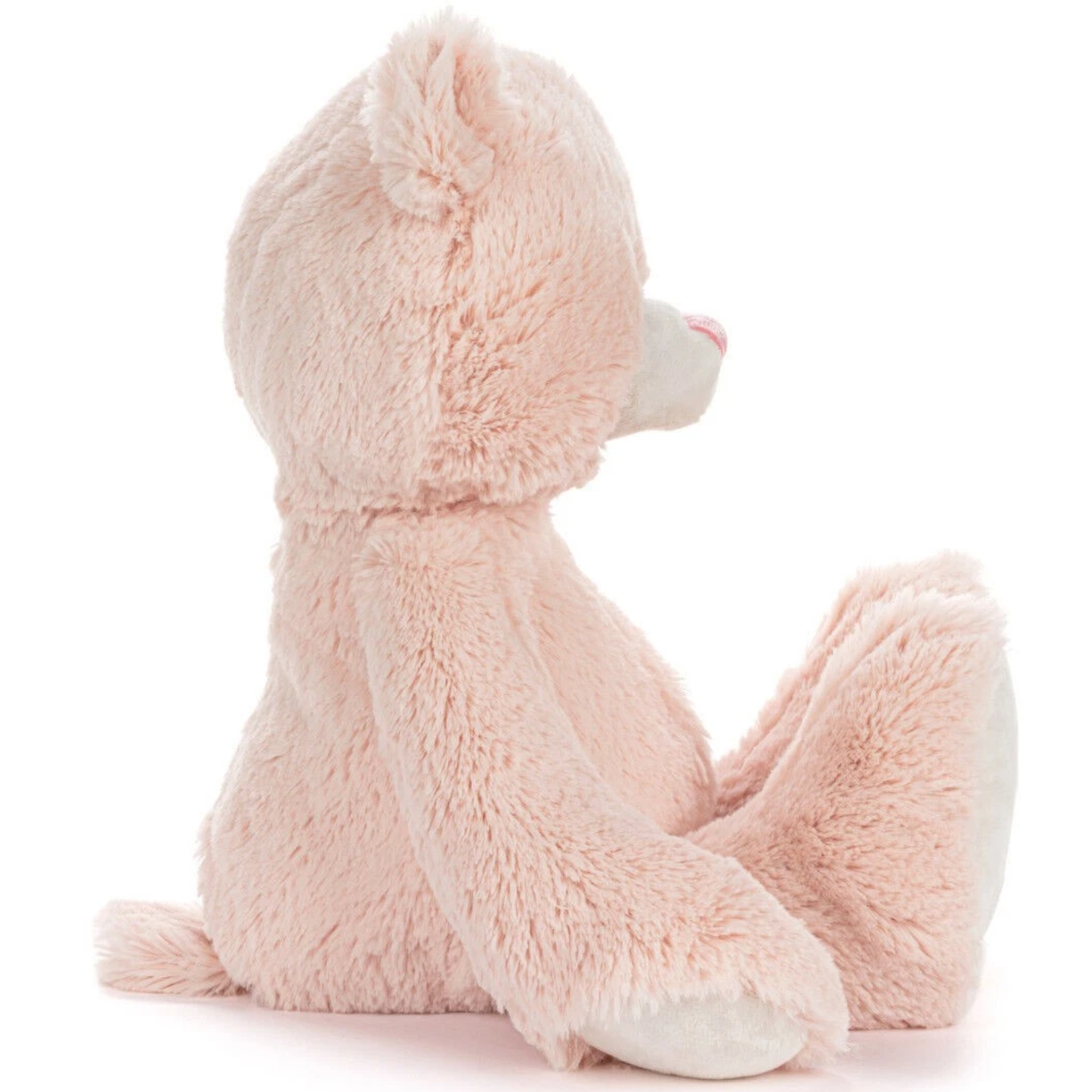 My First Teddy Bear
