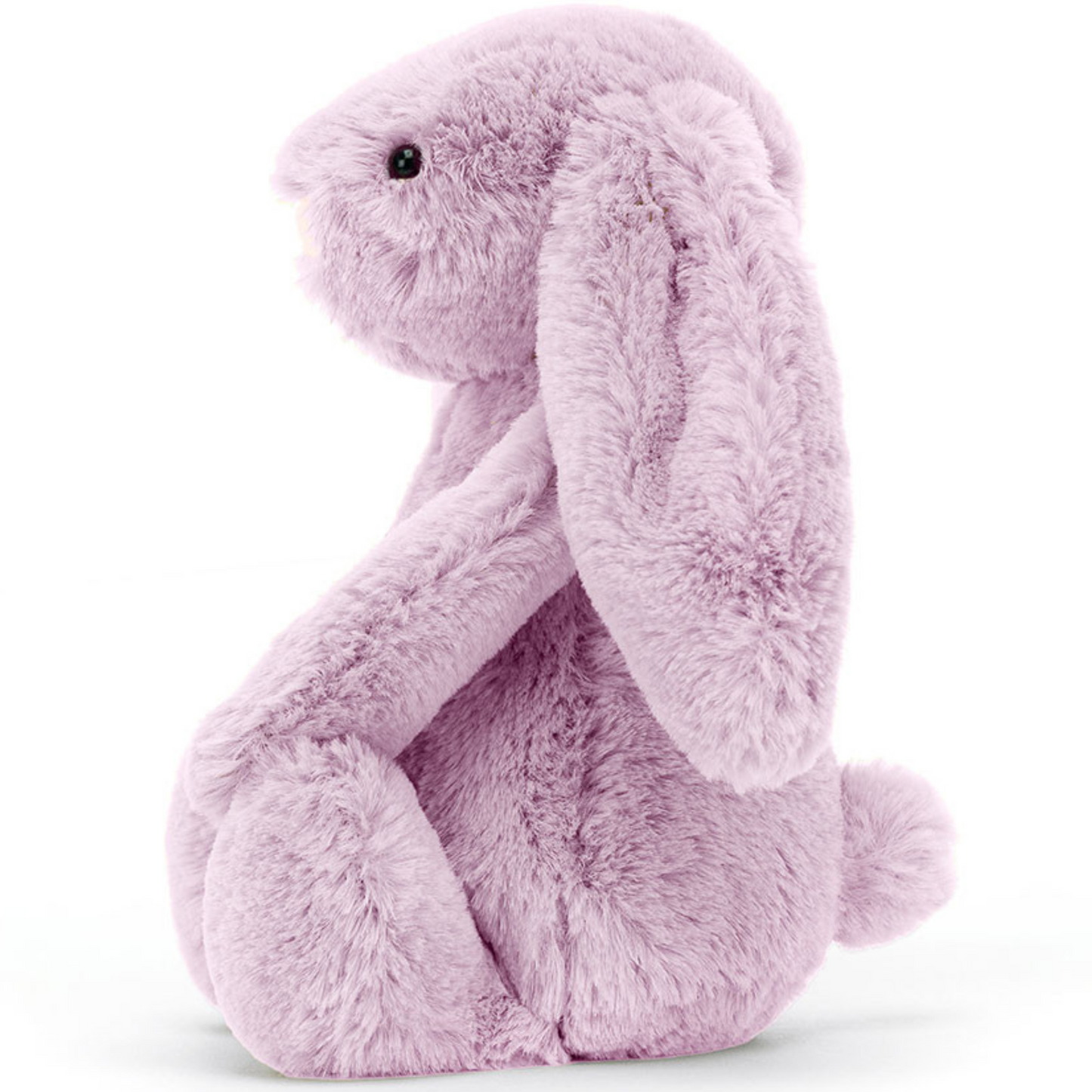 Bashful Bunny Lilac