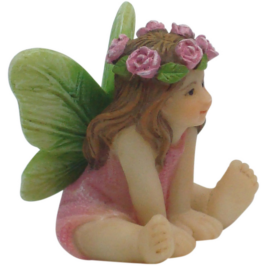 Fairy Sweet Pea