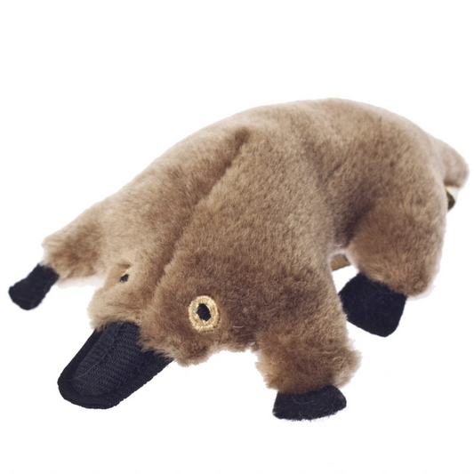 Mini Australian Platypus