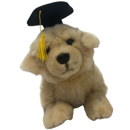 Graduation Maple Golden Retriever Puppy