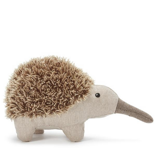 Spike the Echidna