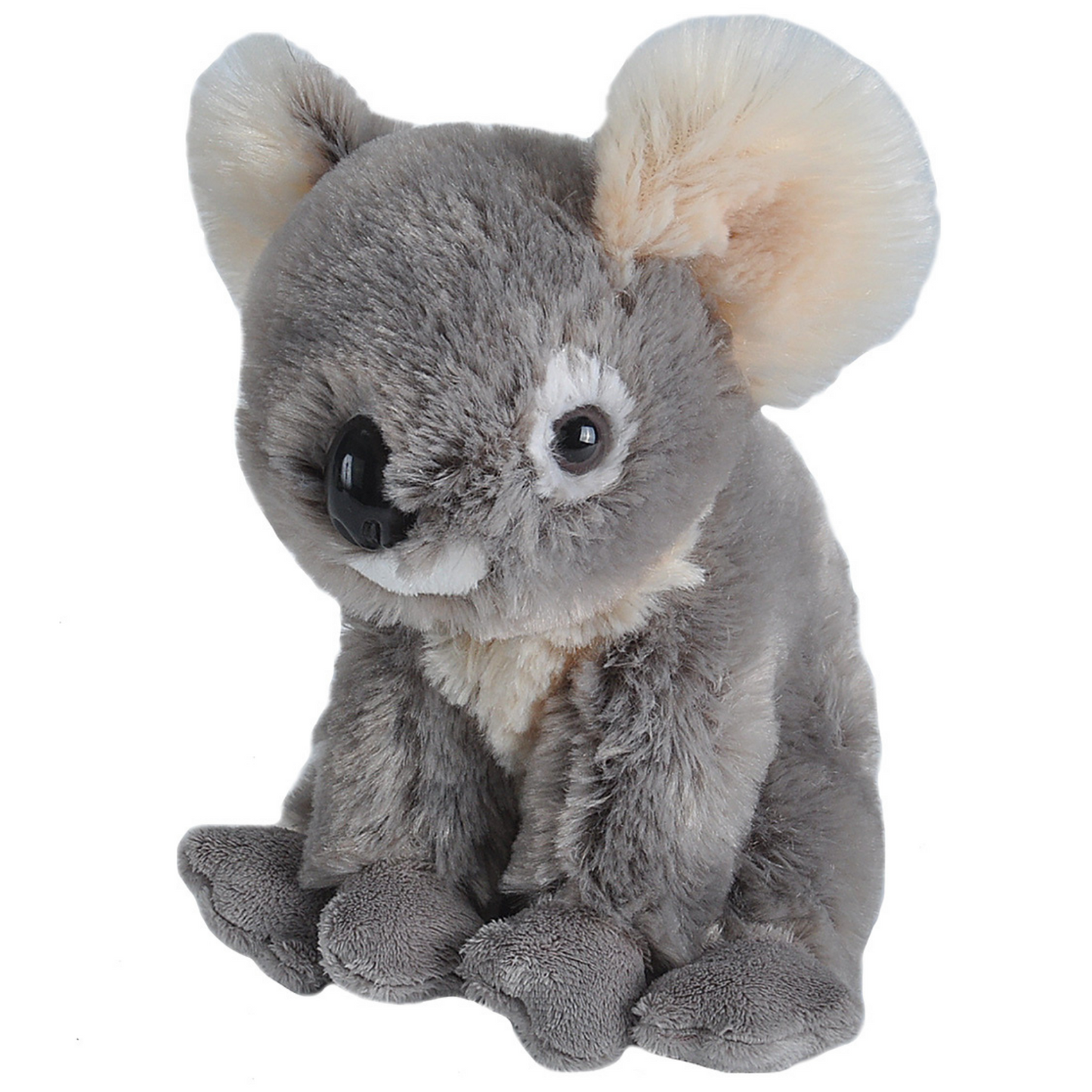 Cuddlekins Mini Koala