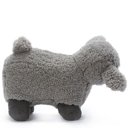 Charlotte the Black Sheep