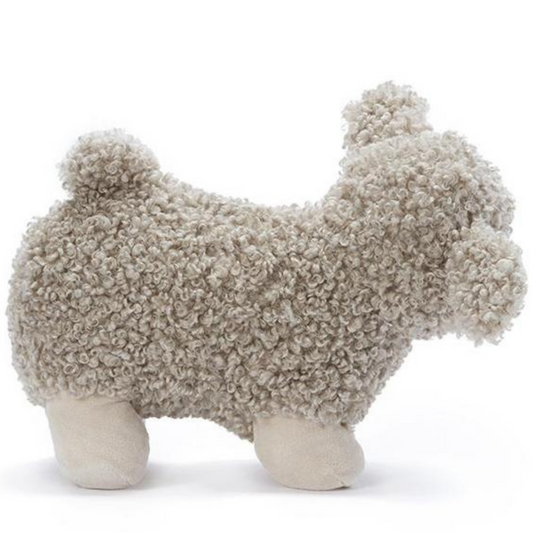 Charlotte the Cream Sheep
